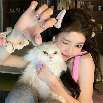 求求了,快复婚吧